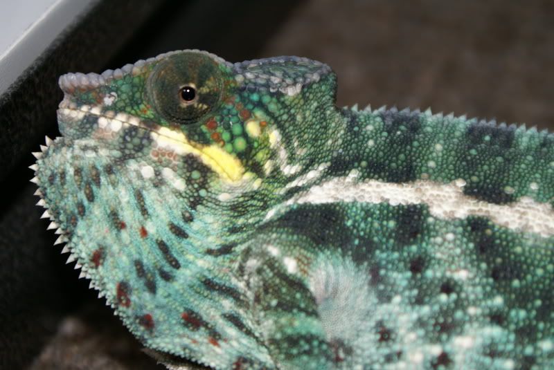 DSC02374.jpg