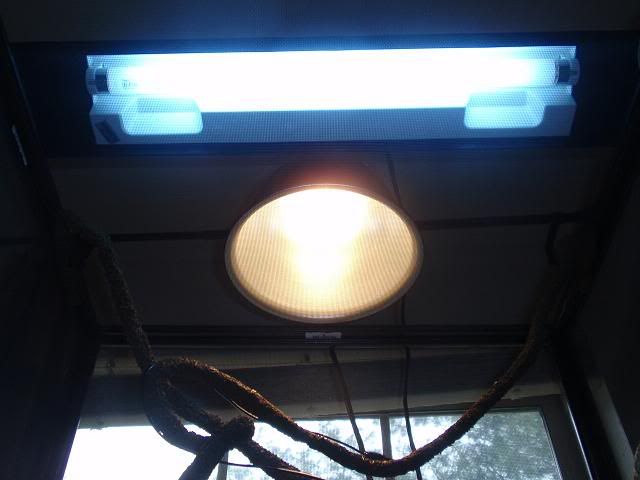 lighting.jpg