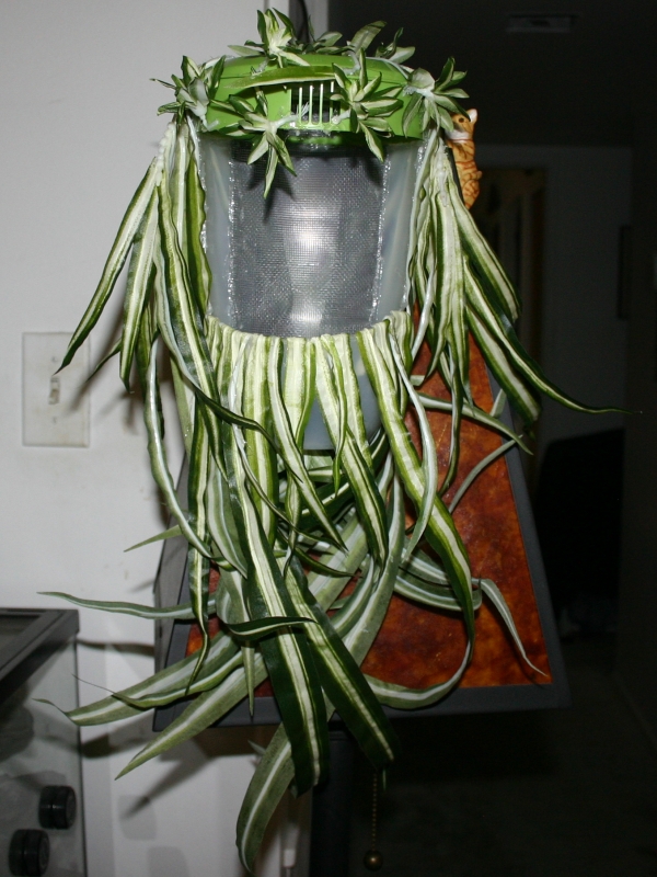 feedingcup.jpg
