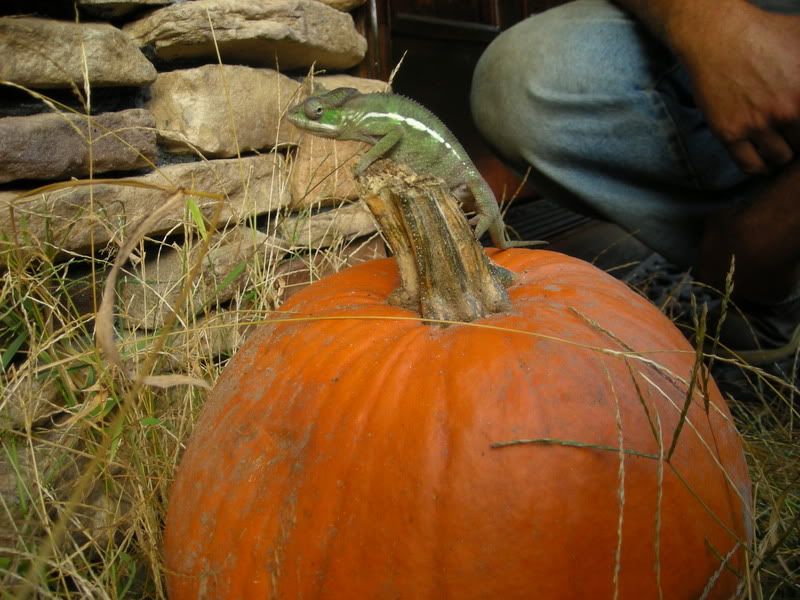 DSCN0562.jpg