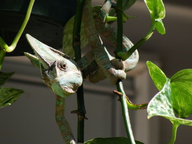 DSC01409.jpg