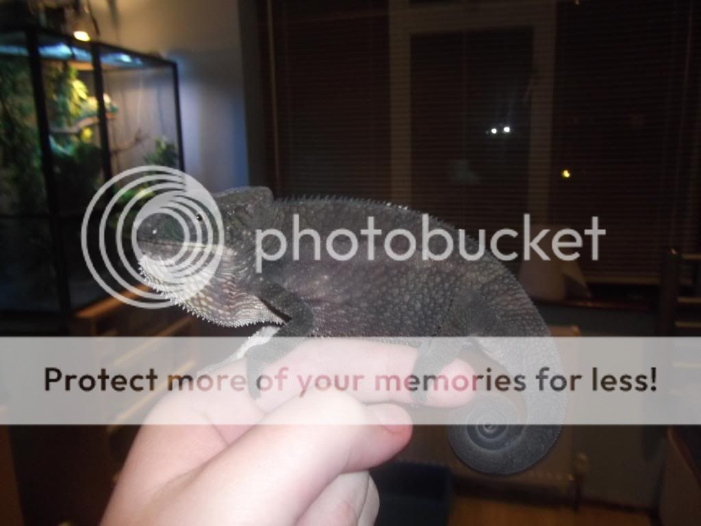 upload15.jpg