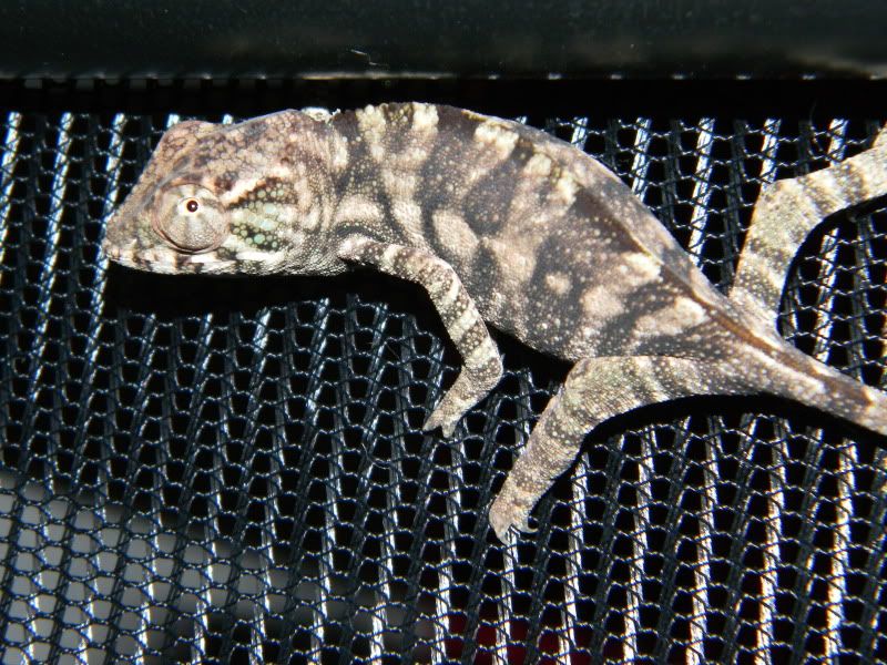 DSCN0864.jpg