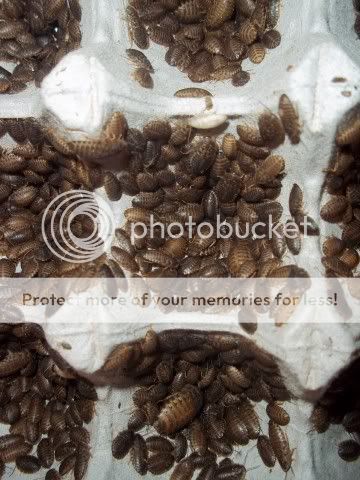 100_1895Small.jpg