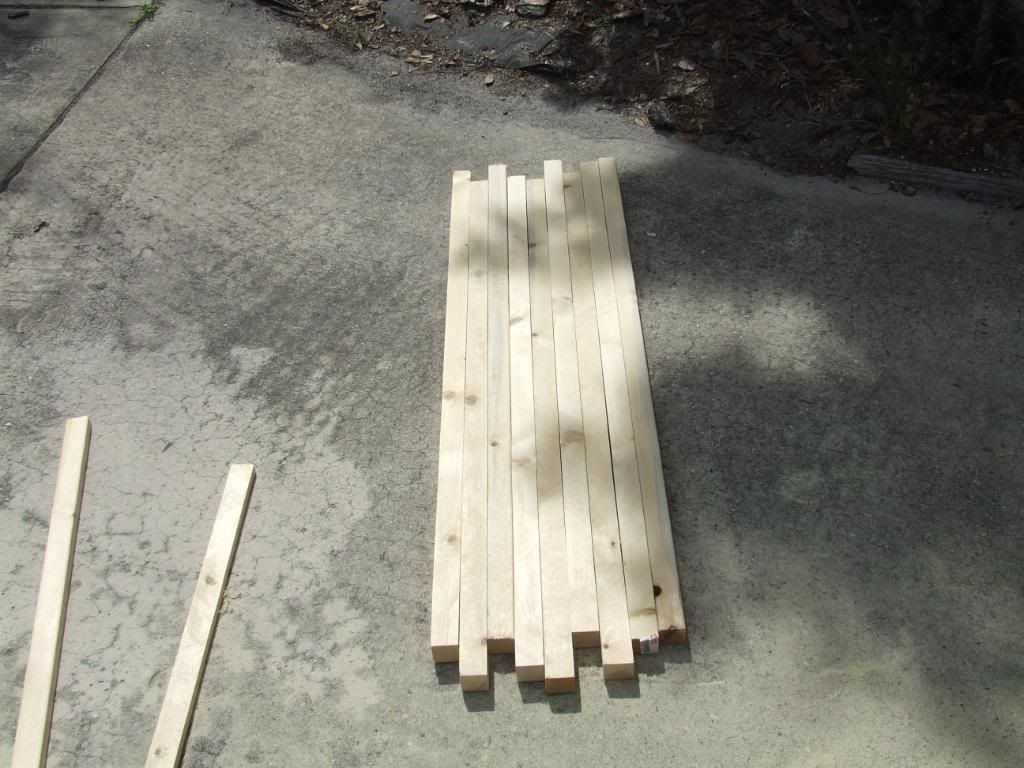 cagebuild001.jpg