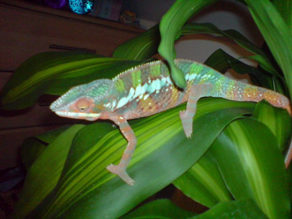 DSC01775.jpg