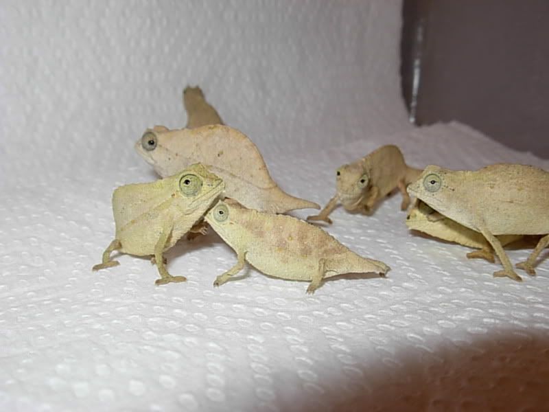 DSCN6072.jpg