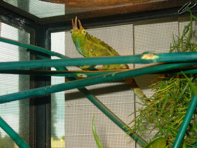 DSCF0003.jpg