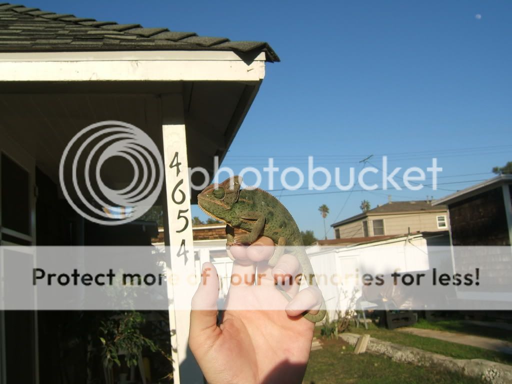 DSCF7707.jpg