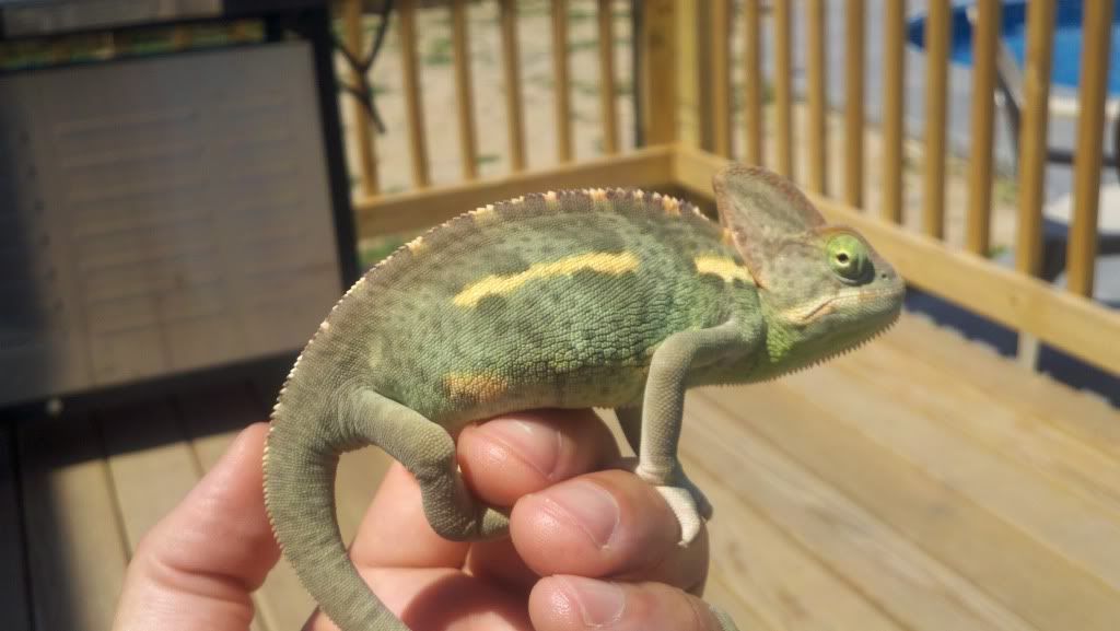 2011-08-02_12-26-24_958.jpg