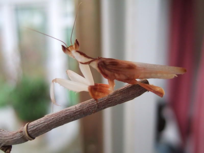 DSCF5076.jpg