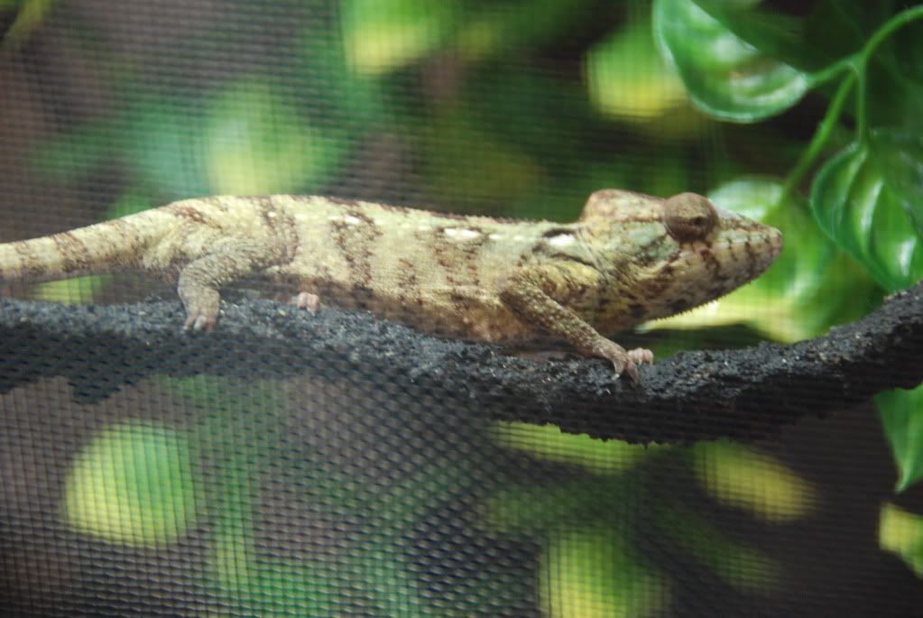 summer20111226.jpg