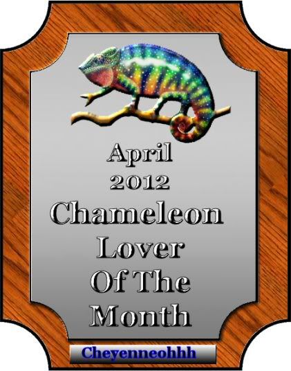 chameleonloveraward.jpg