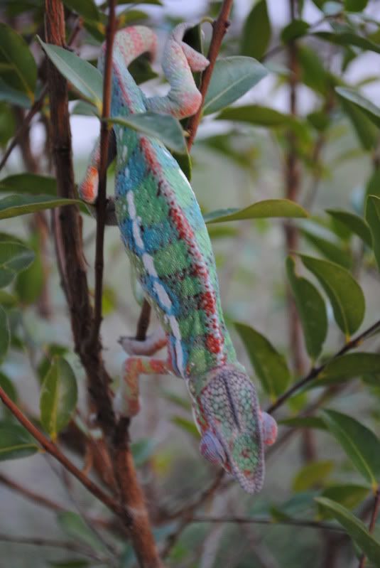 DSC_0209.jpg
