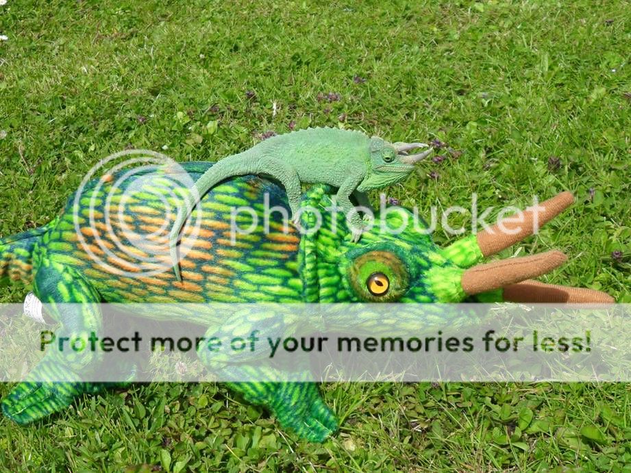 Friend1.jpg