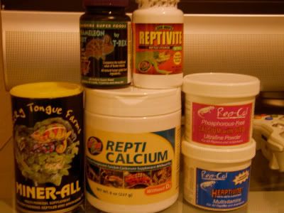 supplements-1.jpg