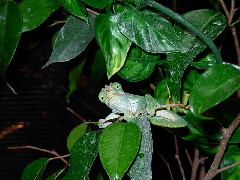 DSCN1092.jpg