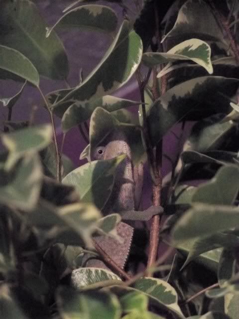 100_0108.jpg