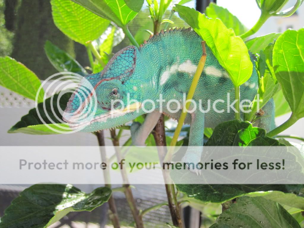 IMG_0951.jpg
