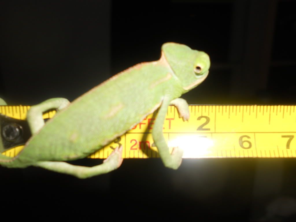 DSCN1108.jpg