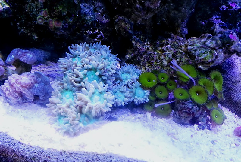 9481241696_1aeb9bdba6_c.jpg