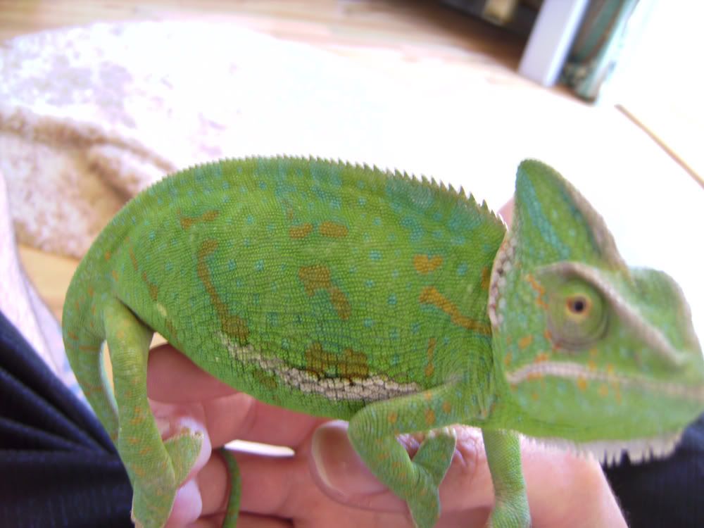 p10002.jpg