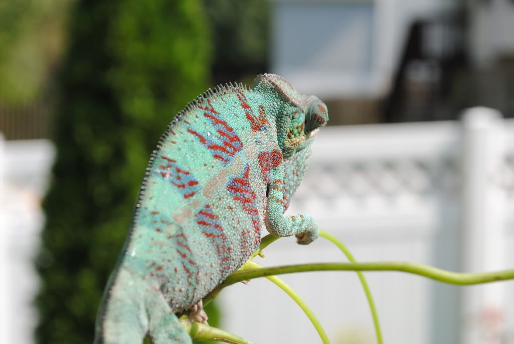DSC_0670.jpg