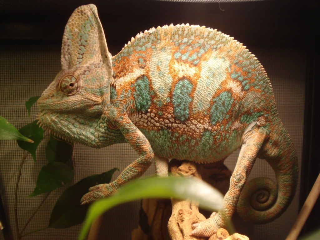 DSC05872.jpg