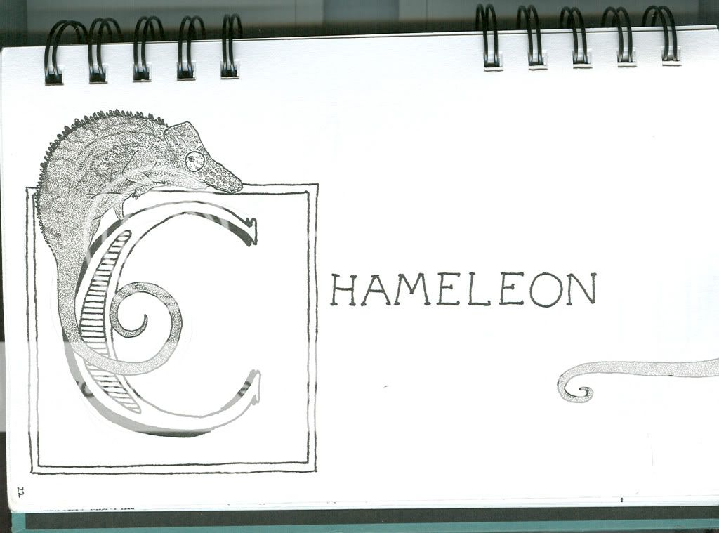 Chameleon.jpg
