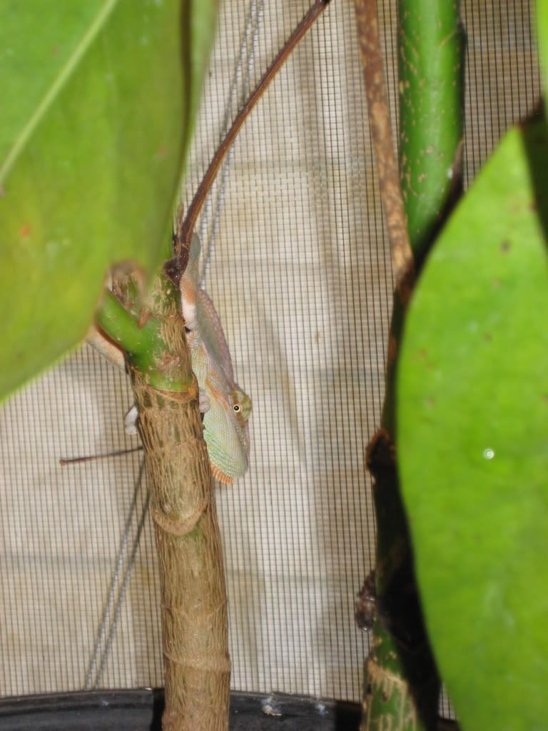 IMG_0206.jpg