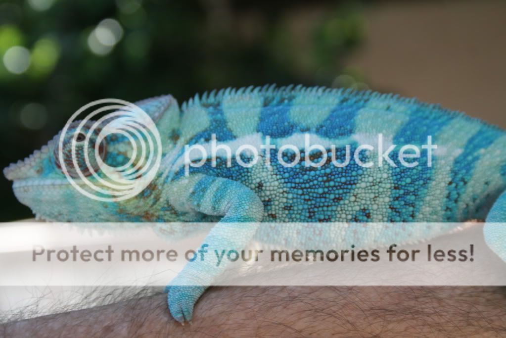 5-1-2010011.jpg