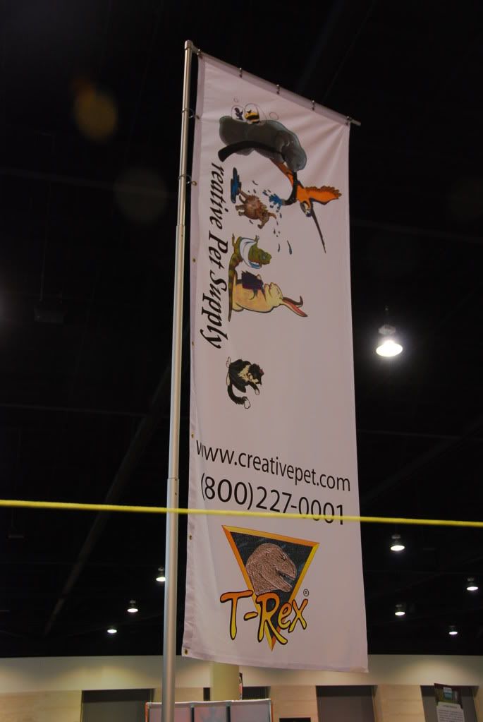 summer20111342.jpg