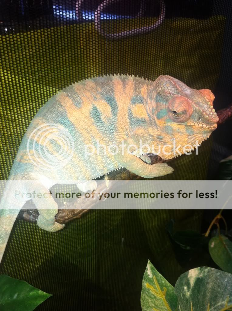 0f3ee0fb.jpg