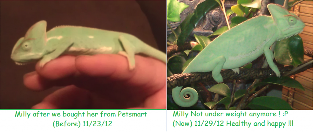 BeforeandAfter.png