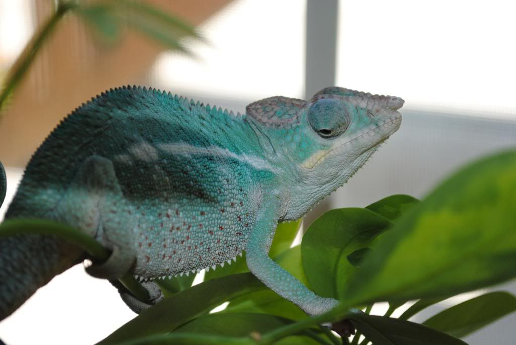 DSC_0180.jpg