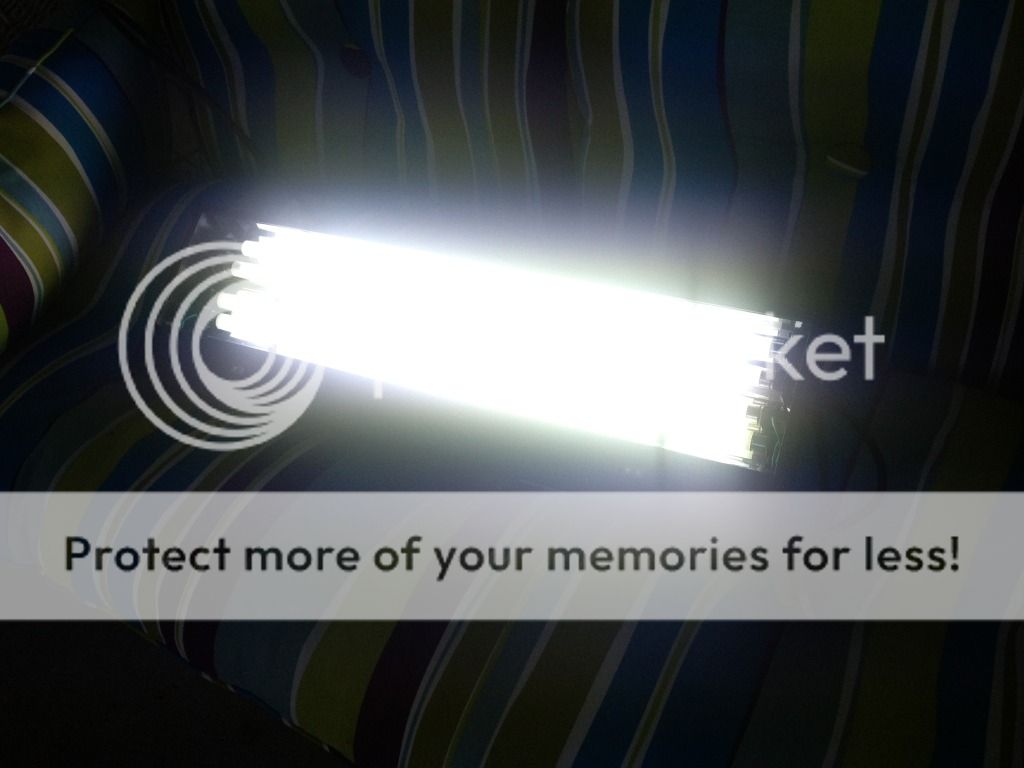 photo.jpg