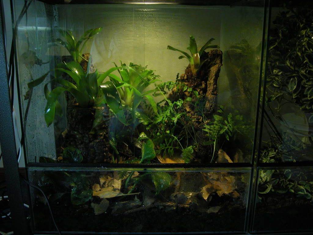 DSCN0035-3.jpg