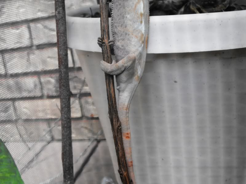 DSCF4030.jpg