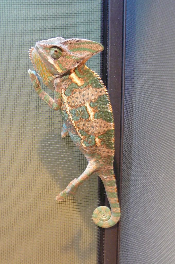 darwin5-12-10005.jpg