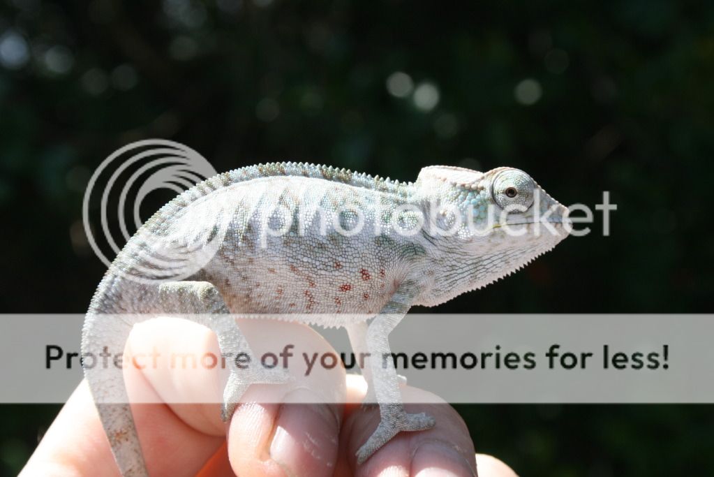 somepics015.jpg