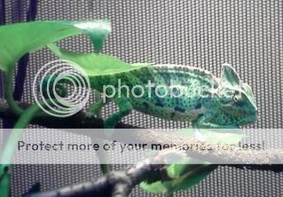 1103111636a-1-1.jpg