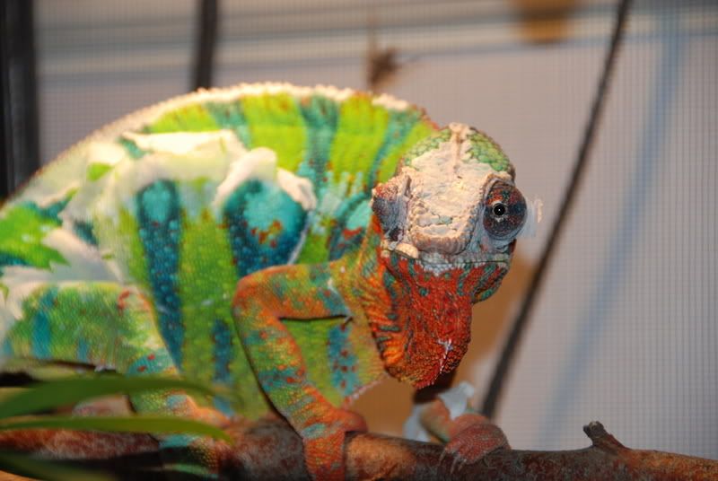 20080214009.jpg