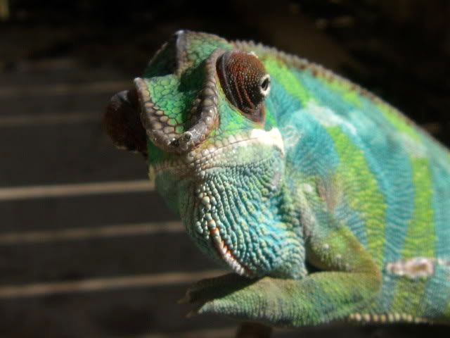 IMG_5591.jpg
