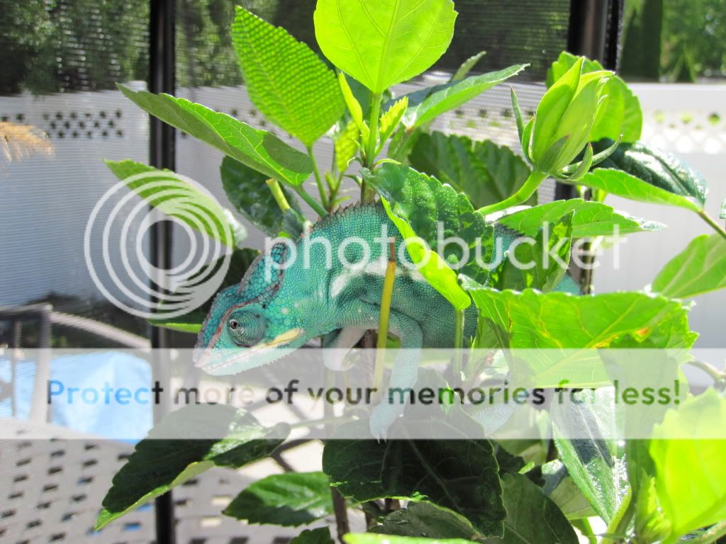 IMG_0950.jpg