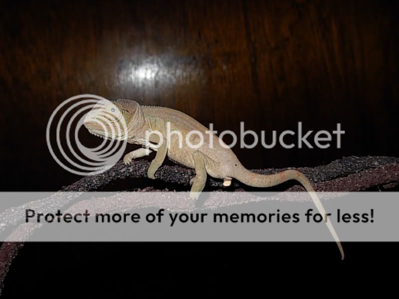 DSCN5225.jpg