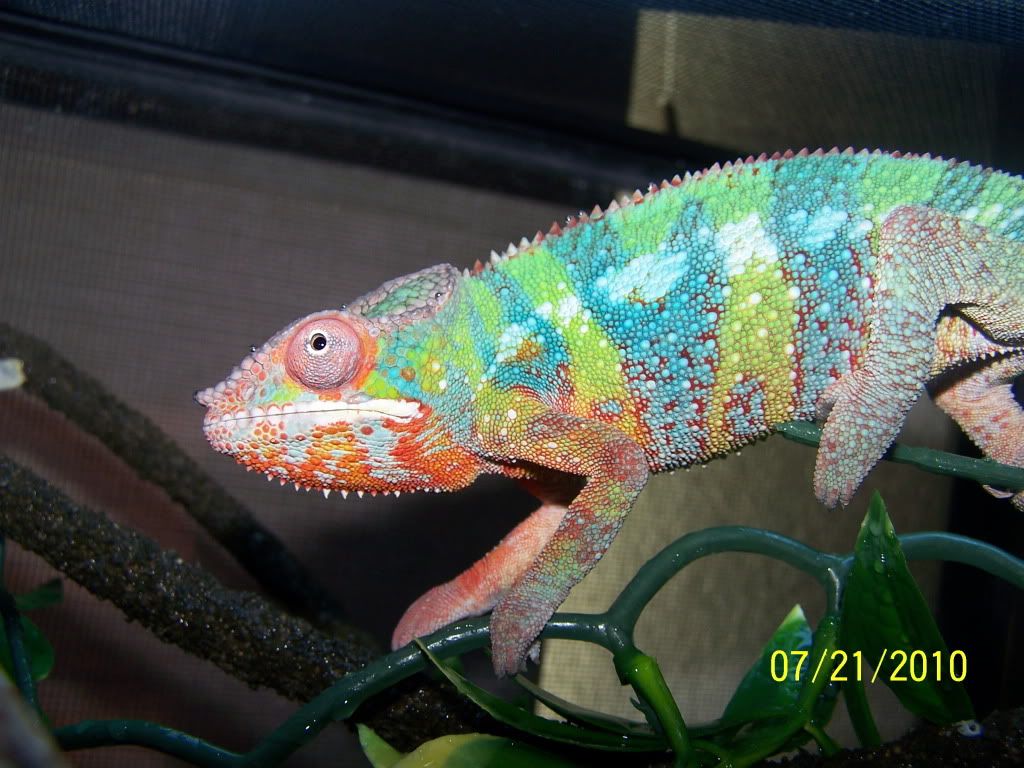 100_3397.jpg
