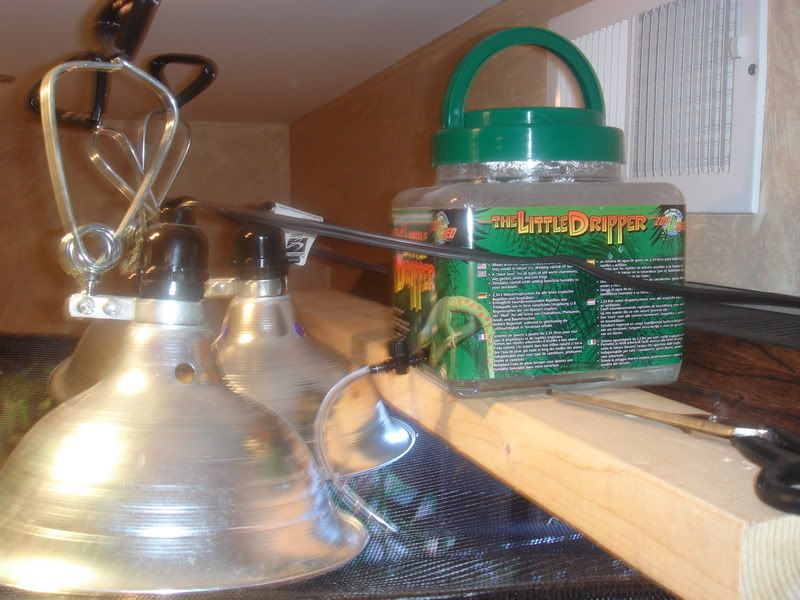 DSC02152.jpg