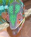 100_6860-1.jpg