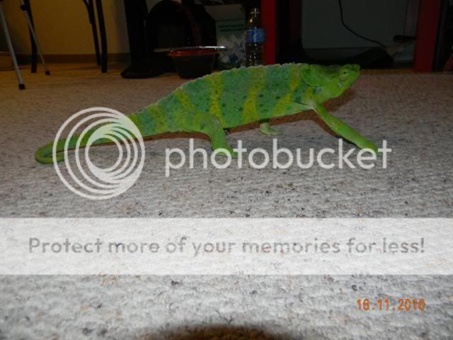 20101116_32.jpg
