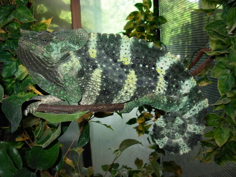 DSCN5320.jpg